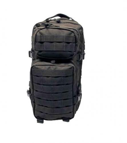 Batoh ASSAULT Pack US 20L molle oliv MFH malý