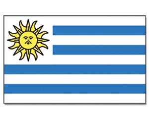 Praporek Uruguay č.020